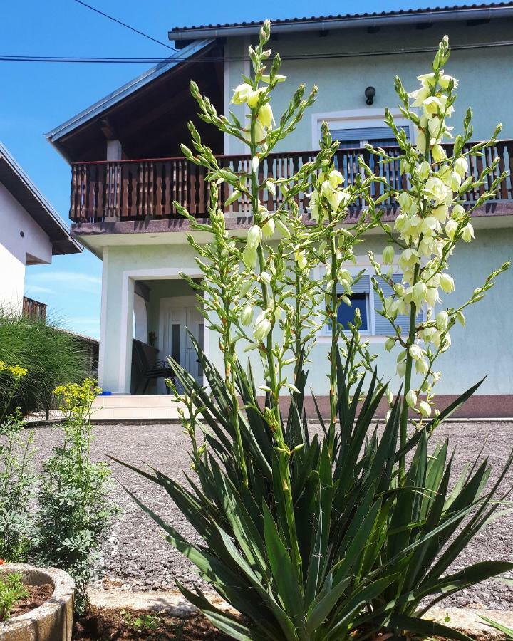 Apartman Lena Tusilovic المظهر الخارجي الصورة